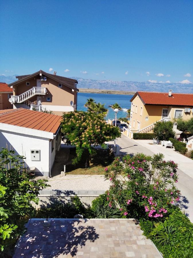 ויר Apartmani Darija מראה חיצוני תמונה